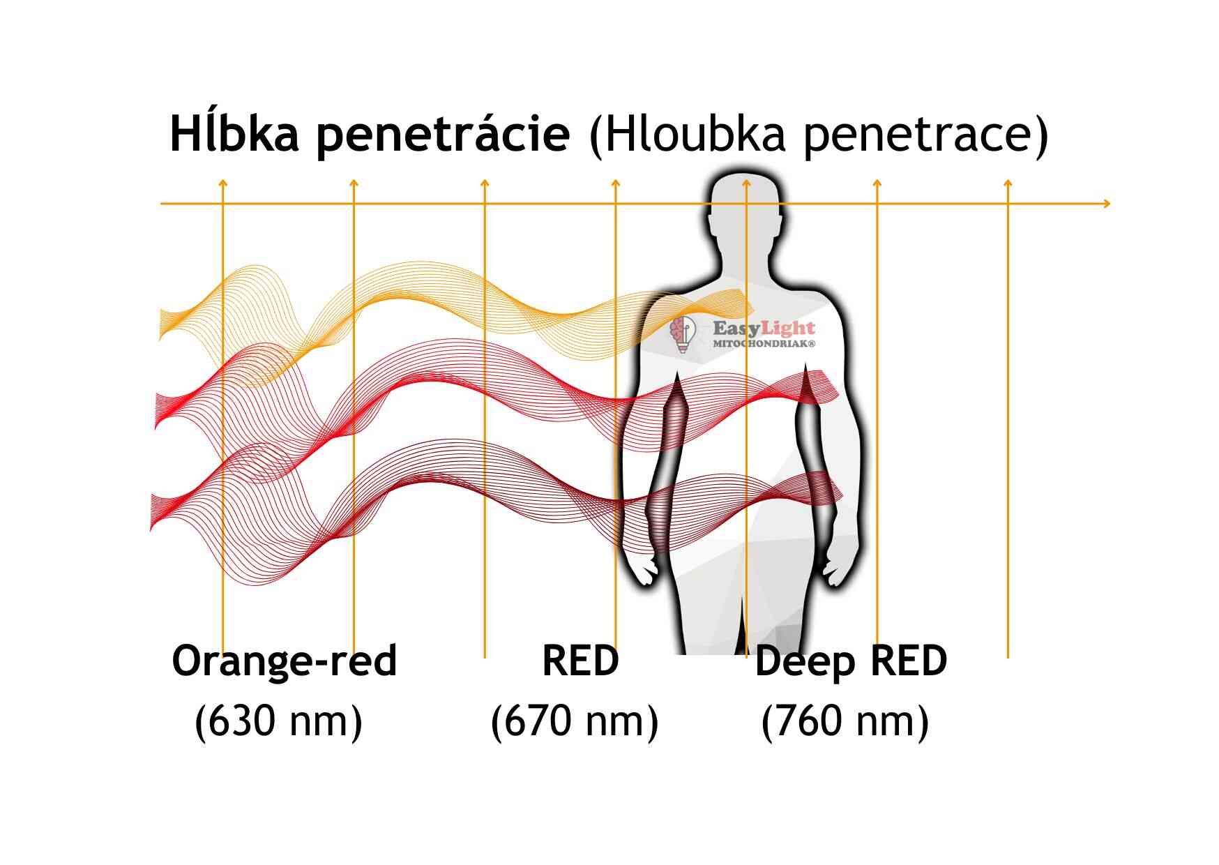 Mitochondriak® light therapy